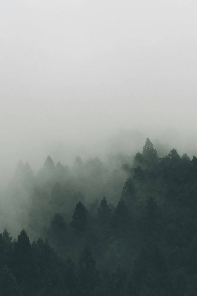 Mist